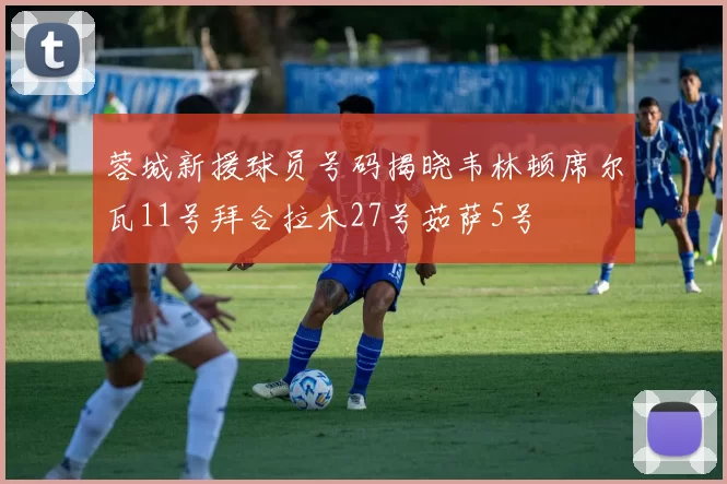 蓉城新援球员号码揭晓韦林顿席尔瓦11号拜合拉木27号茹萨5号